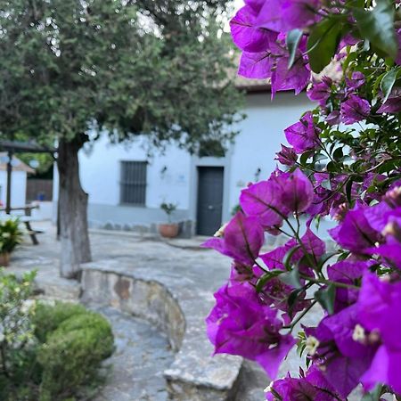 Complejo Rural Huerta Grande Vendégház Algeciras Kültér fotó
